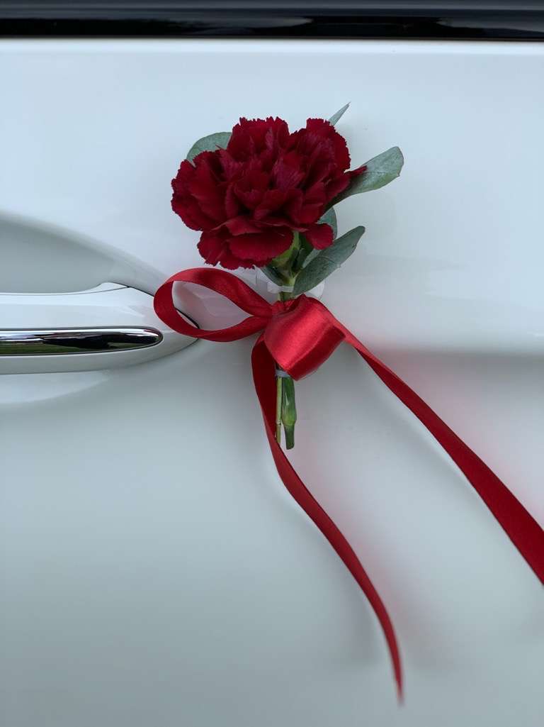 placeholder image-sq