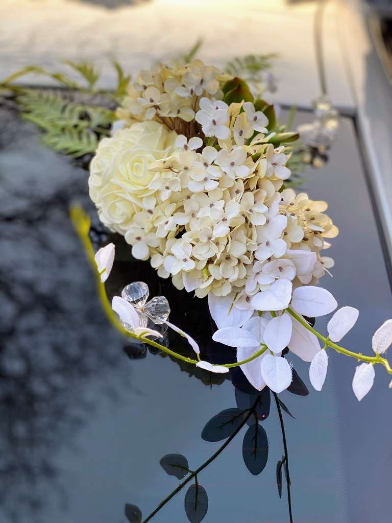 placeholder image-sq