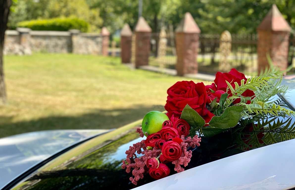 placeholder image-sq