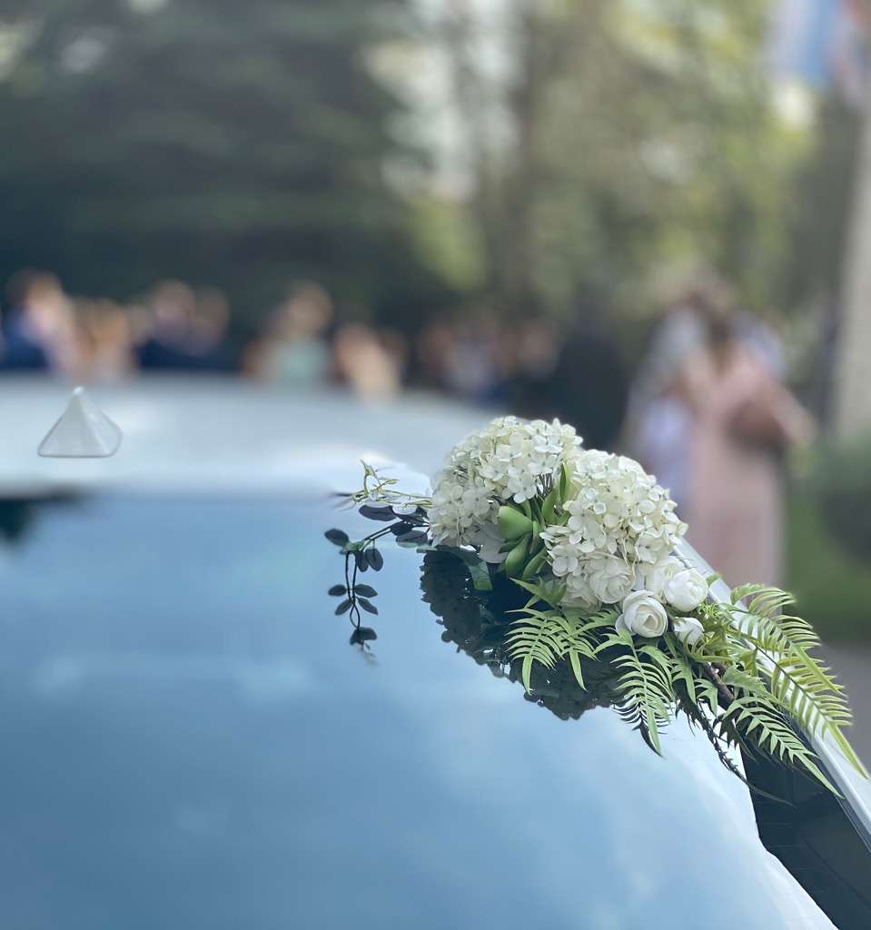 placeholder image-sq