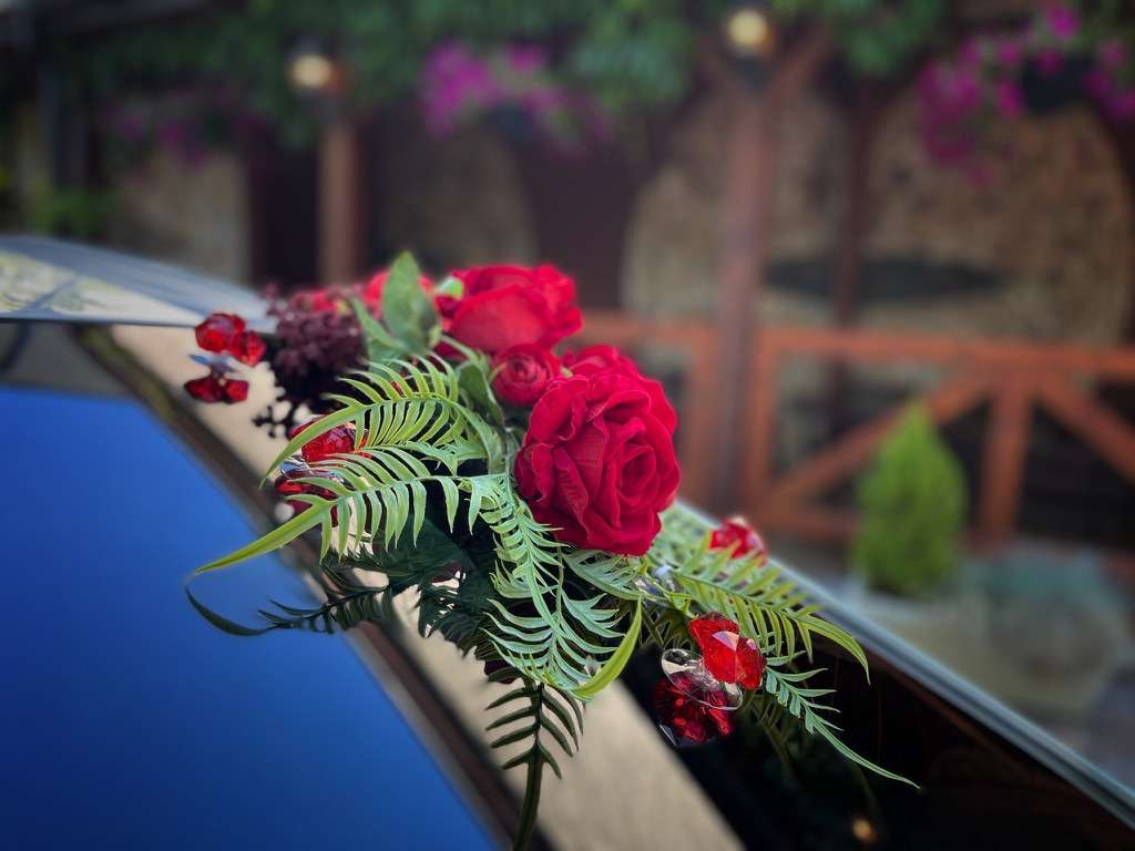 1CB45956 B408-42EE-8D3D-9C043E8E96FC-squashed